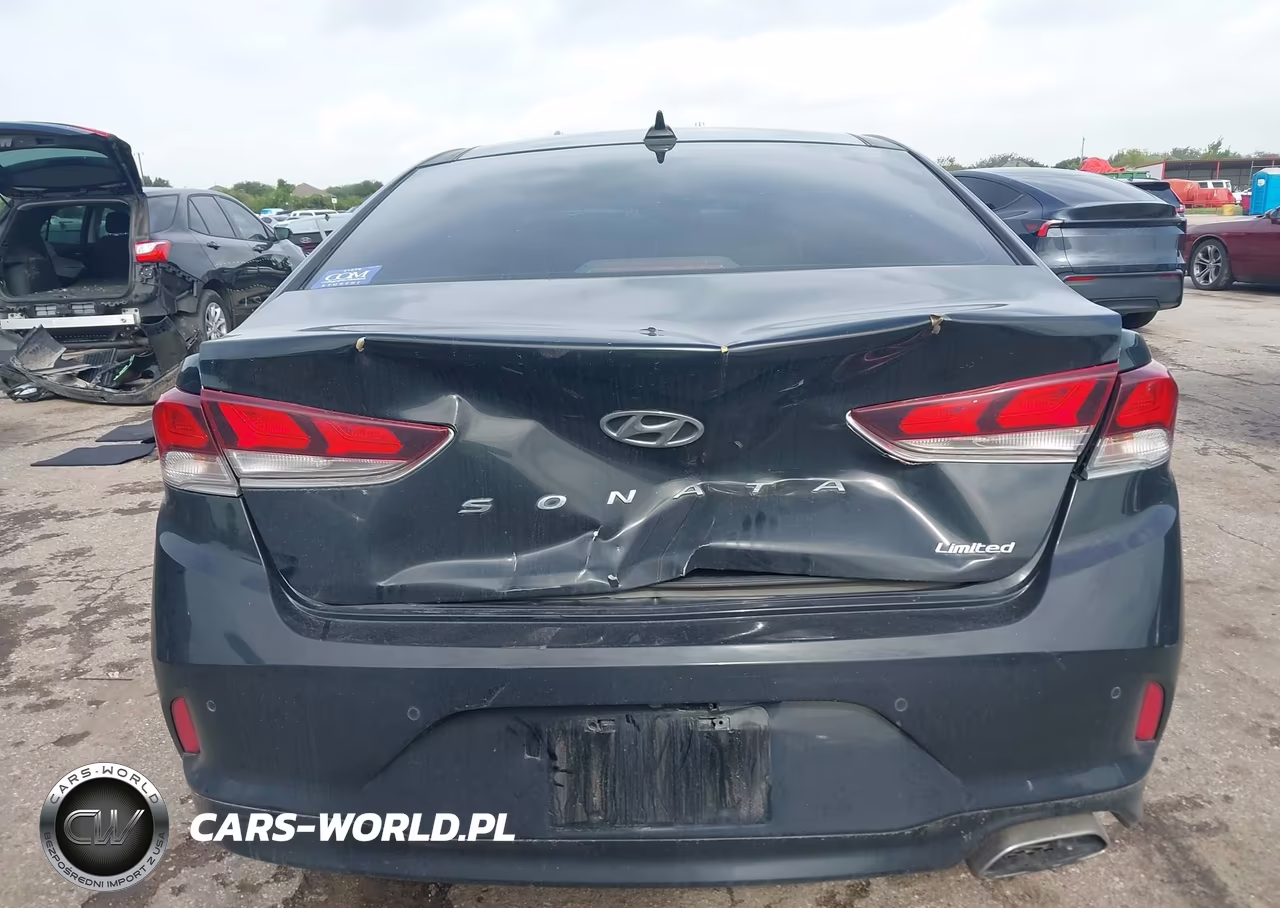 2019 Hyundai Sonata Limited VIN:5NPE34AF1KH730285 - 16