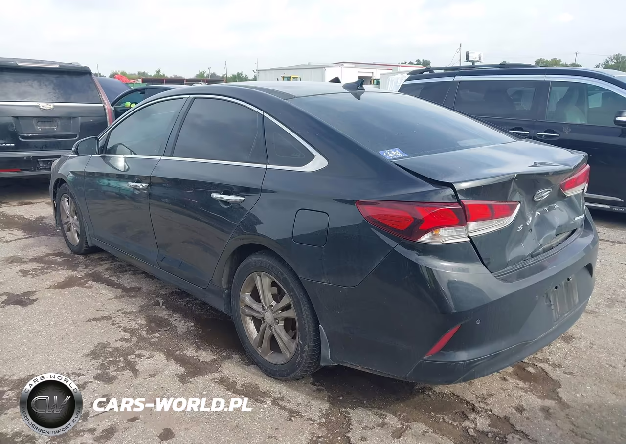 2019 Hyundai Sonata Limited VIN:5NPE34AF1KH730285 - 3