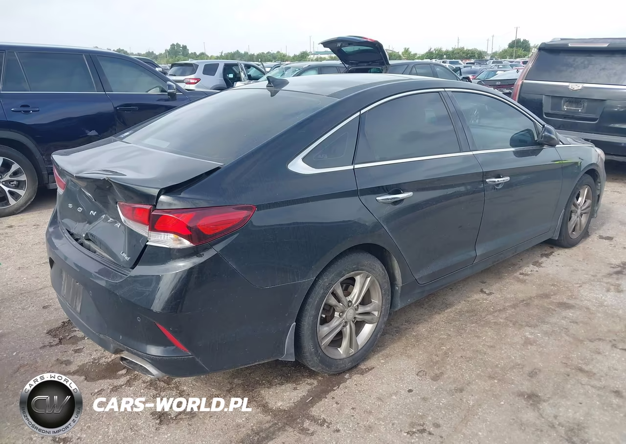 2019 Hyundai Sonata Limited VIN:5NPE34AF1KH730285 - 4