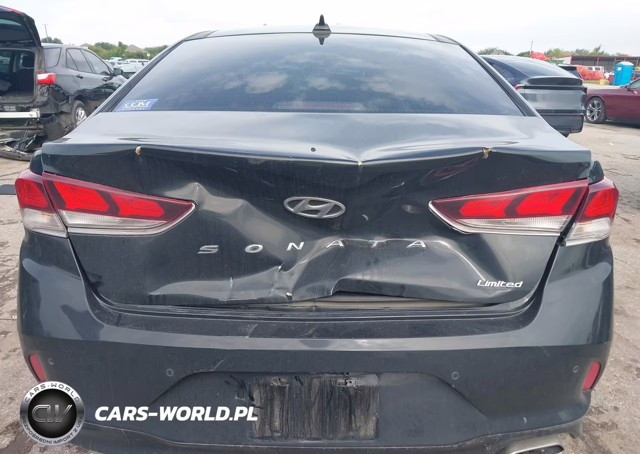 2019 Hyundai Sonata Limited VIN:5NPE34AF1KH730285 - 6