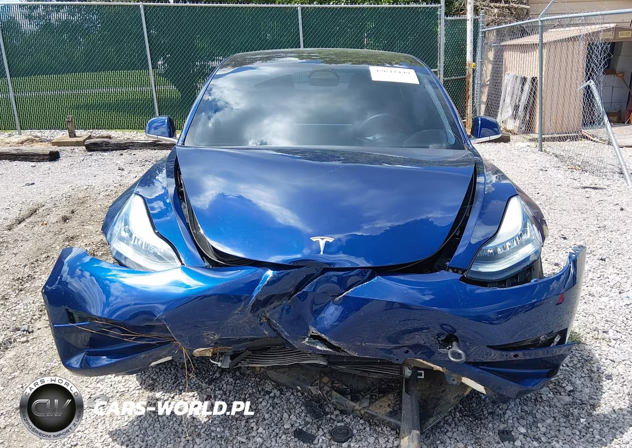 2019 Tesla Model 3 Long Range-Performance VIN:5YJ3E1EB1KF452607 - 12