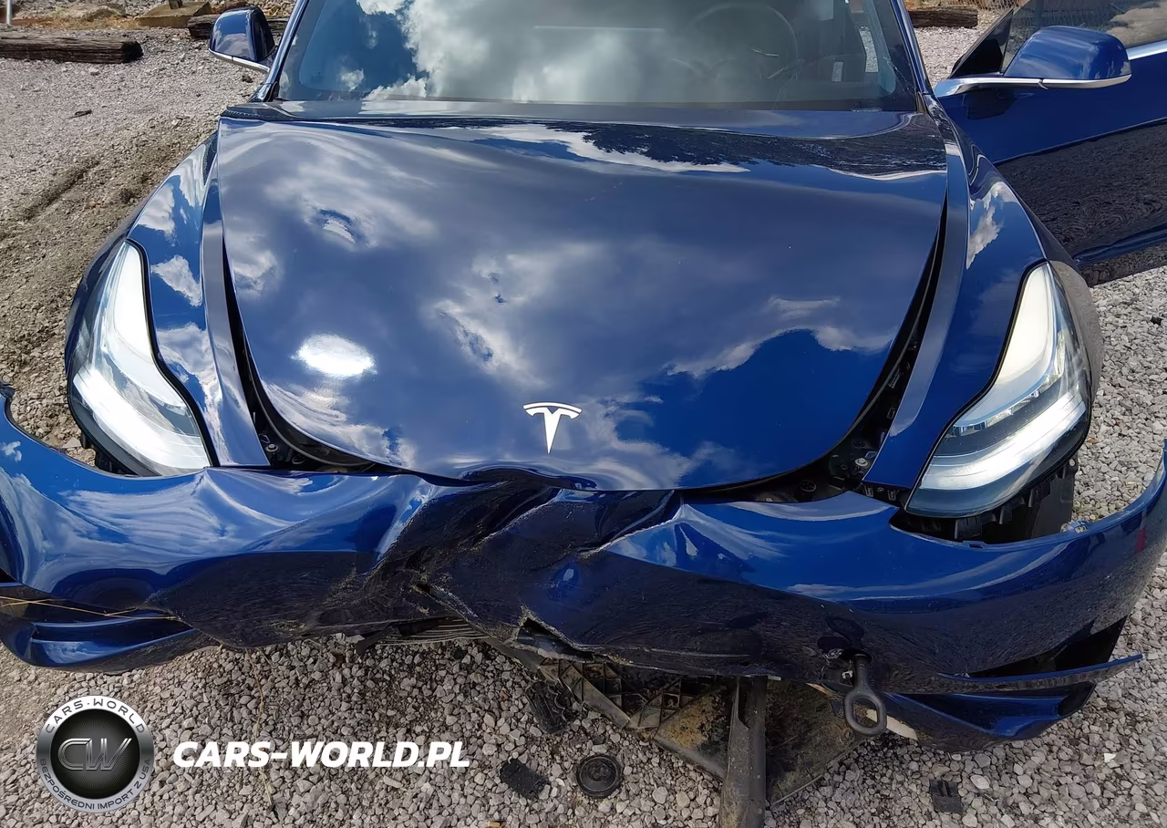 2019 Tesla Model 3 Long Range-Performance VIN:5YJ3E1EB1KF452607 - 6