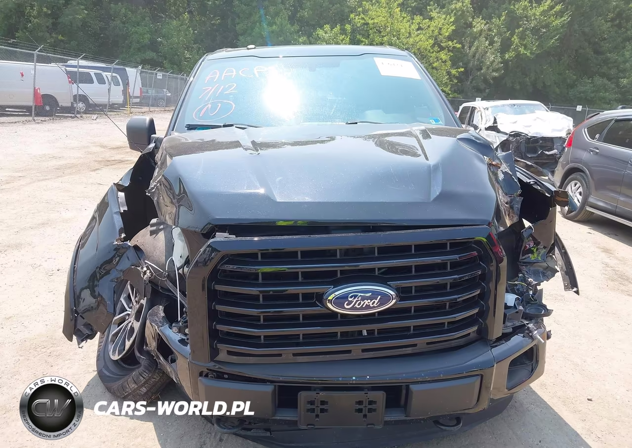 2016 Ford F-150 Xlt VIN:1FTEW1EG9GFD08954 - 12