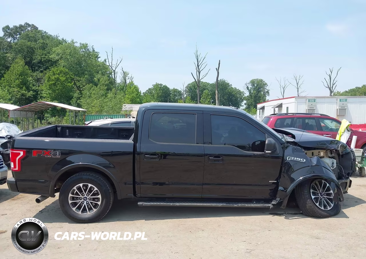 2016 Ford F-150 Xlt VIN:1FTEW1EG9GFD08954 - 13