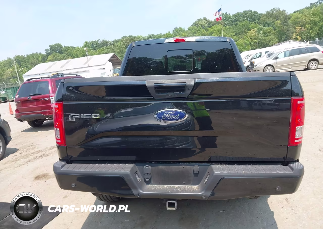 2016 Ford F-150 Xlt VIN:1FTEW1EG9GFD08954 - 16