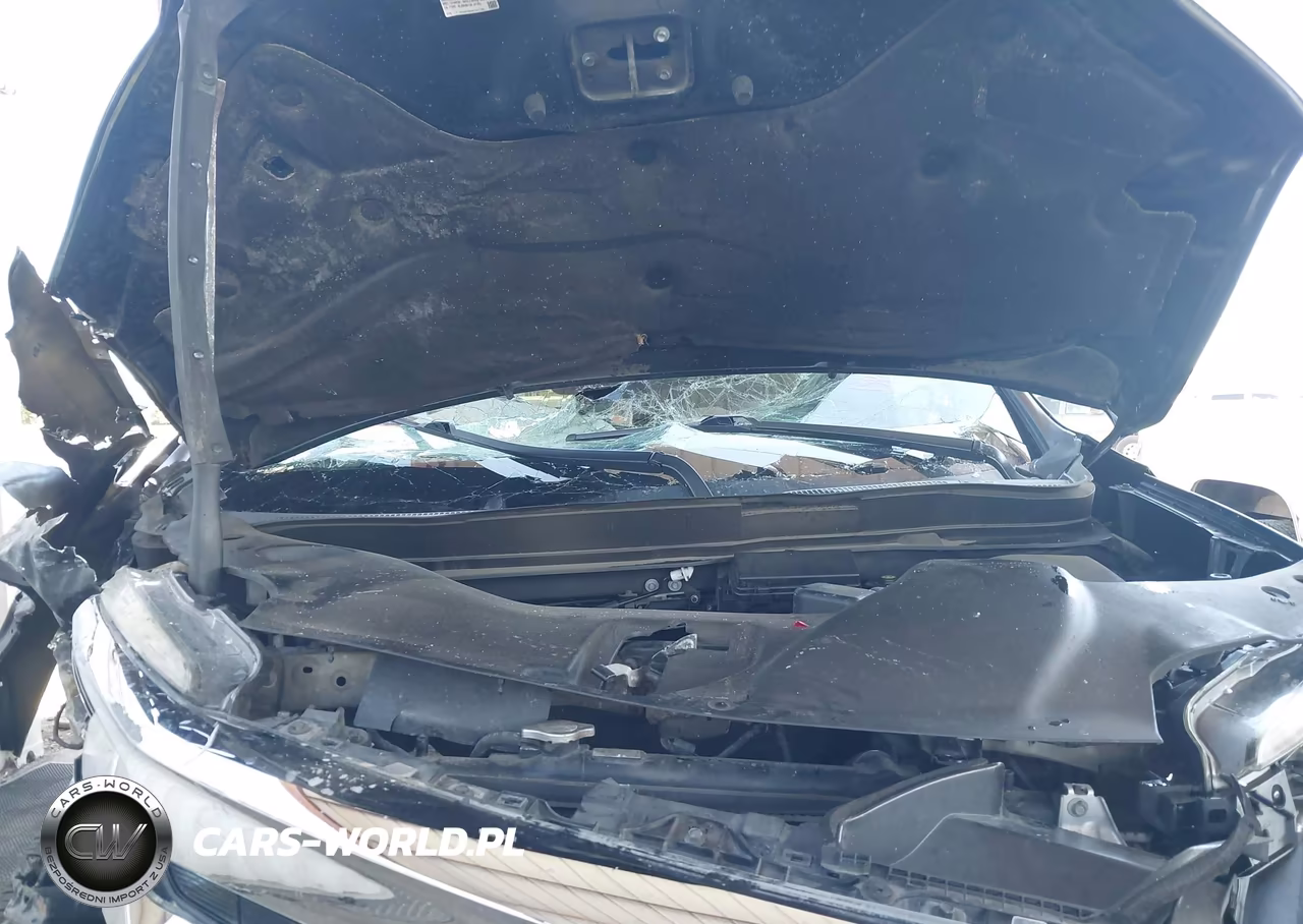 2019 Honda Pilot Elite VIN:5FNYF6H04KB053104 - 10