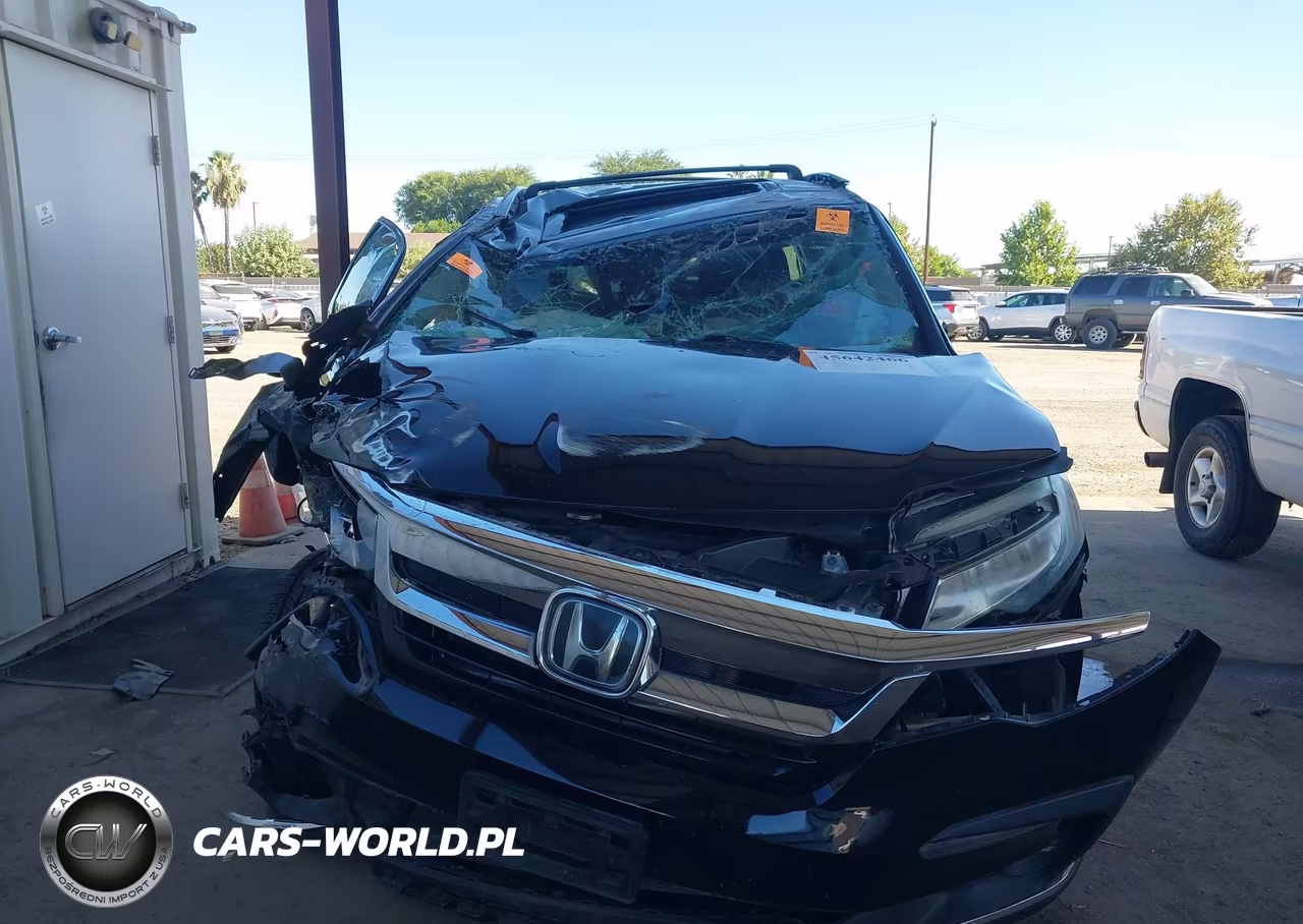 2019 Honda Pilot Elite VIN:5FNYF6H04KB053104 - 12