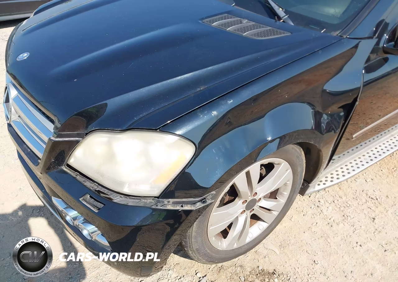 2011 Mercedes-Benz Gl 450 4Matic VIN:4JGBF7BE7BA683140 - 13