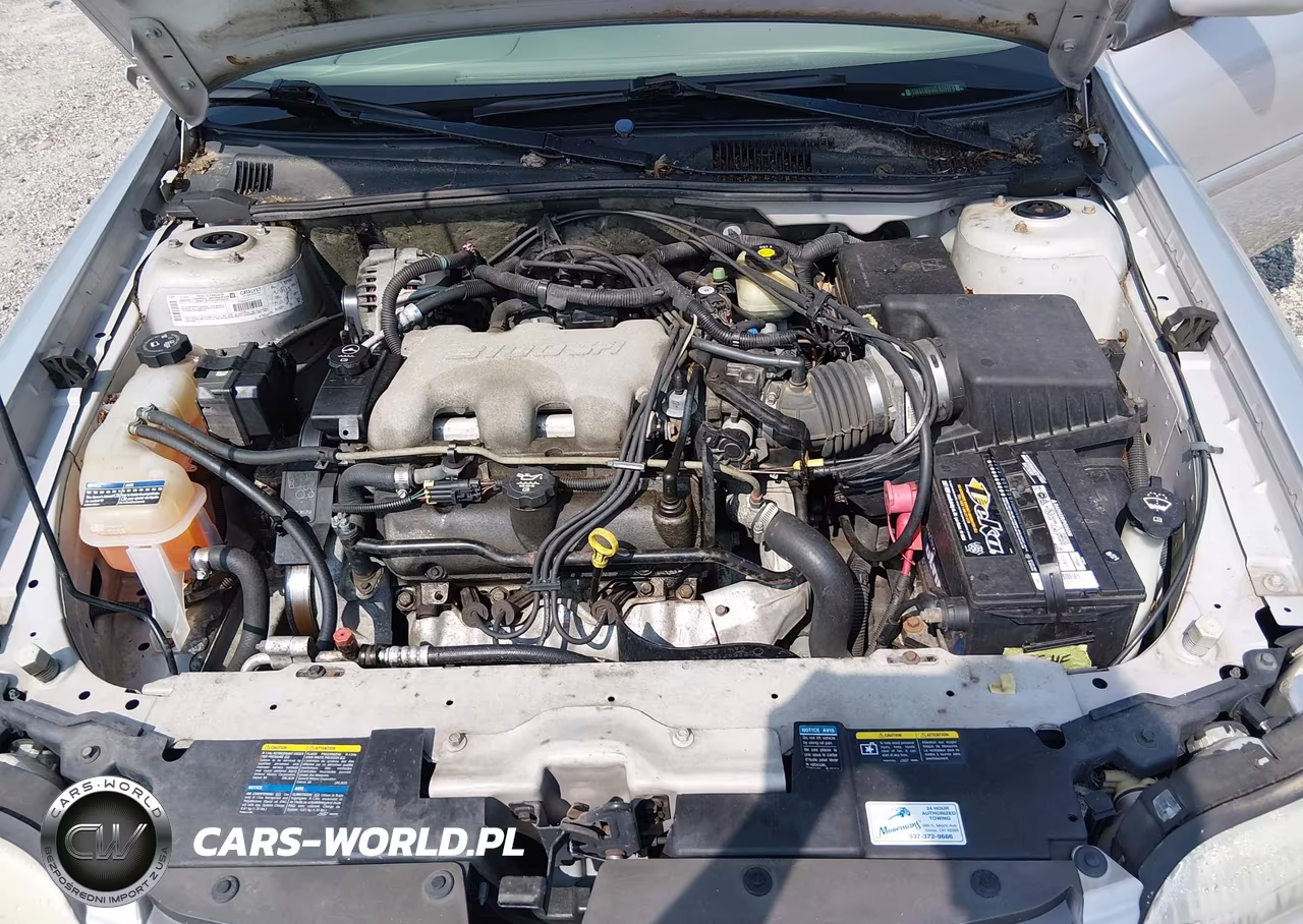 2002 Chevrolet Malibu Ls VIN:1G1NE52J52M681173 - 10
