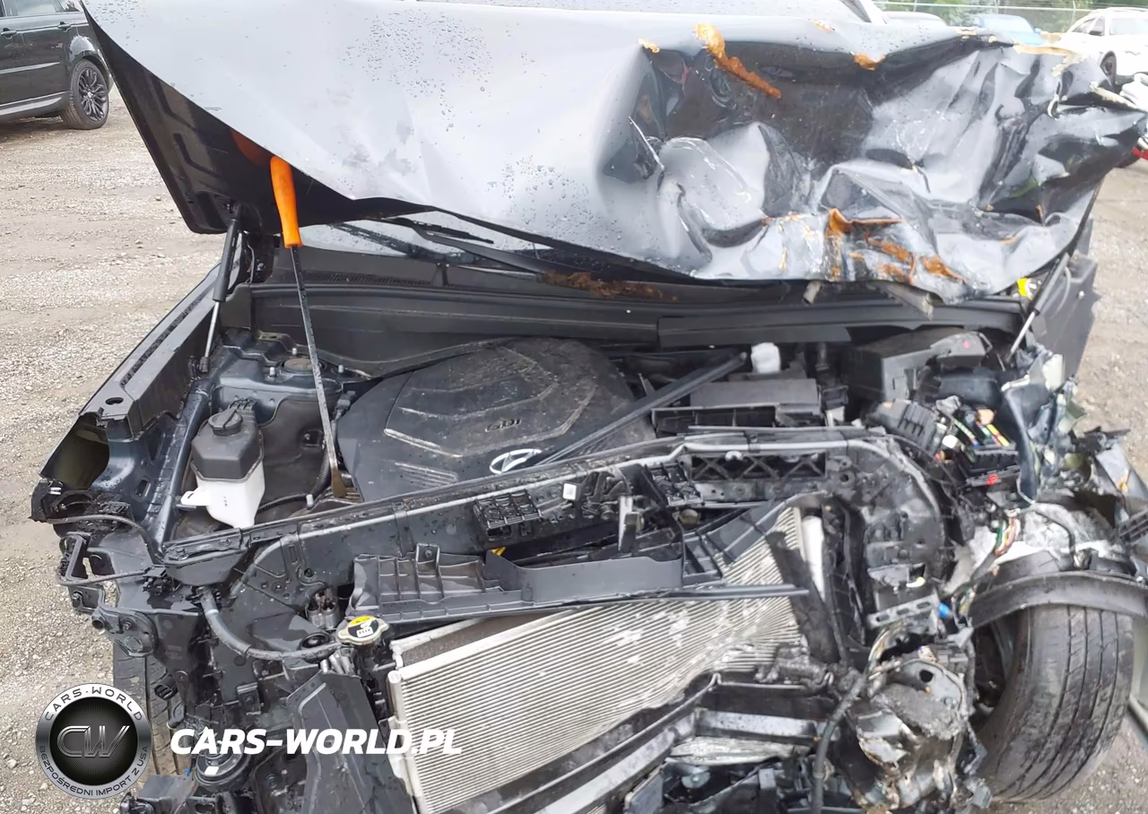 2021 Hyundai Palisade Limited VIN:KM8R5DHE2MU196226 - 10