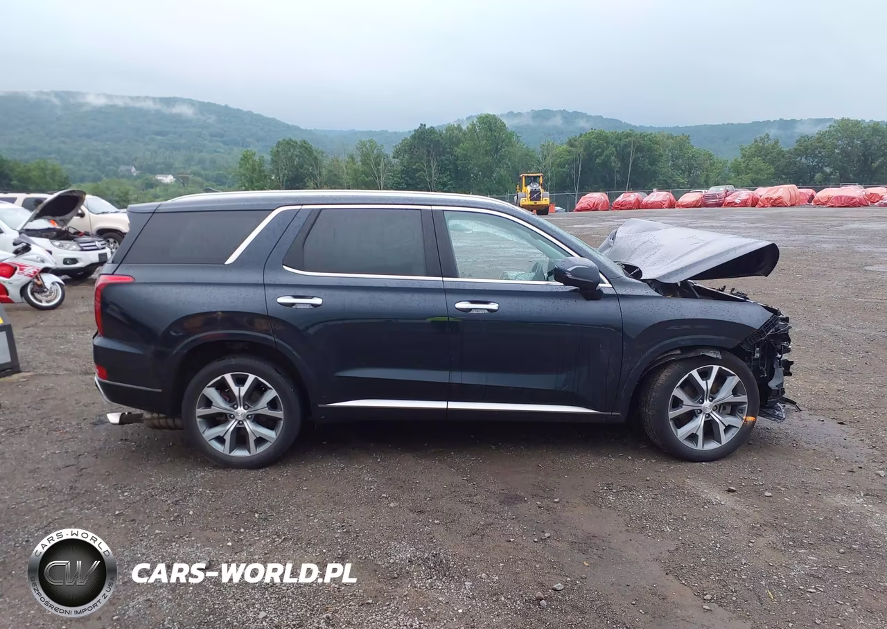 2021 Hyundai Palisade Limited VIN:KM8R5DHE2MU196226 - 13