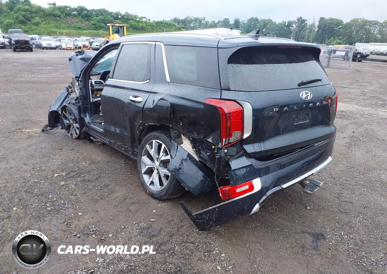 2021 Hyundai Palisade Limited VIN:KM8R5DHE2MU196226 - 3