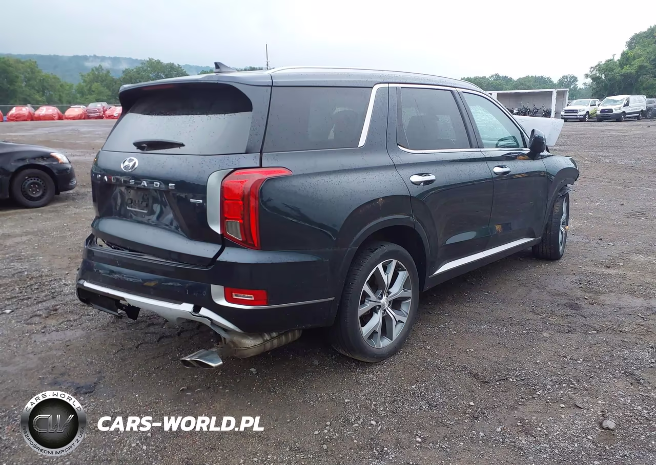 2021 Hyundai Palisade Limited VIN:KM8R5DHE2MU196226 - 4