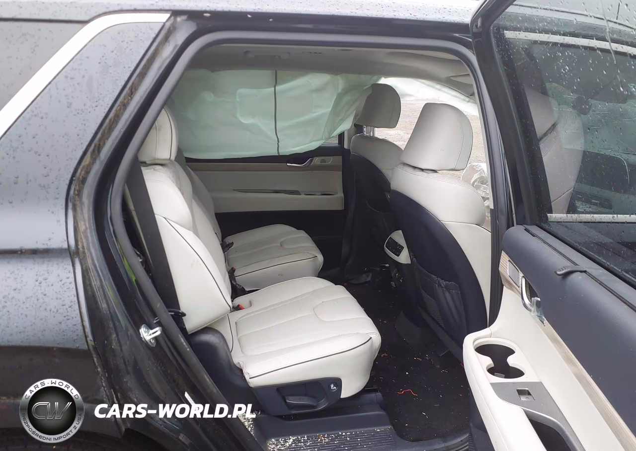 2021 Hyundai Palisade Limited VIN:KM8R5DHE2MU196226 - 8