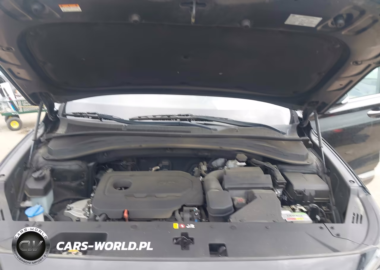 2019 Hyundai Santa Fe Limited VIN:5NMS53AD6KH103777 - 10