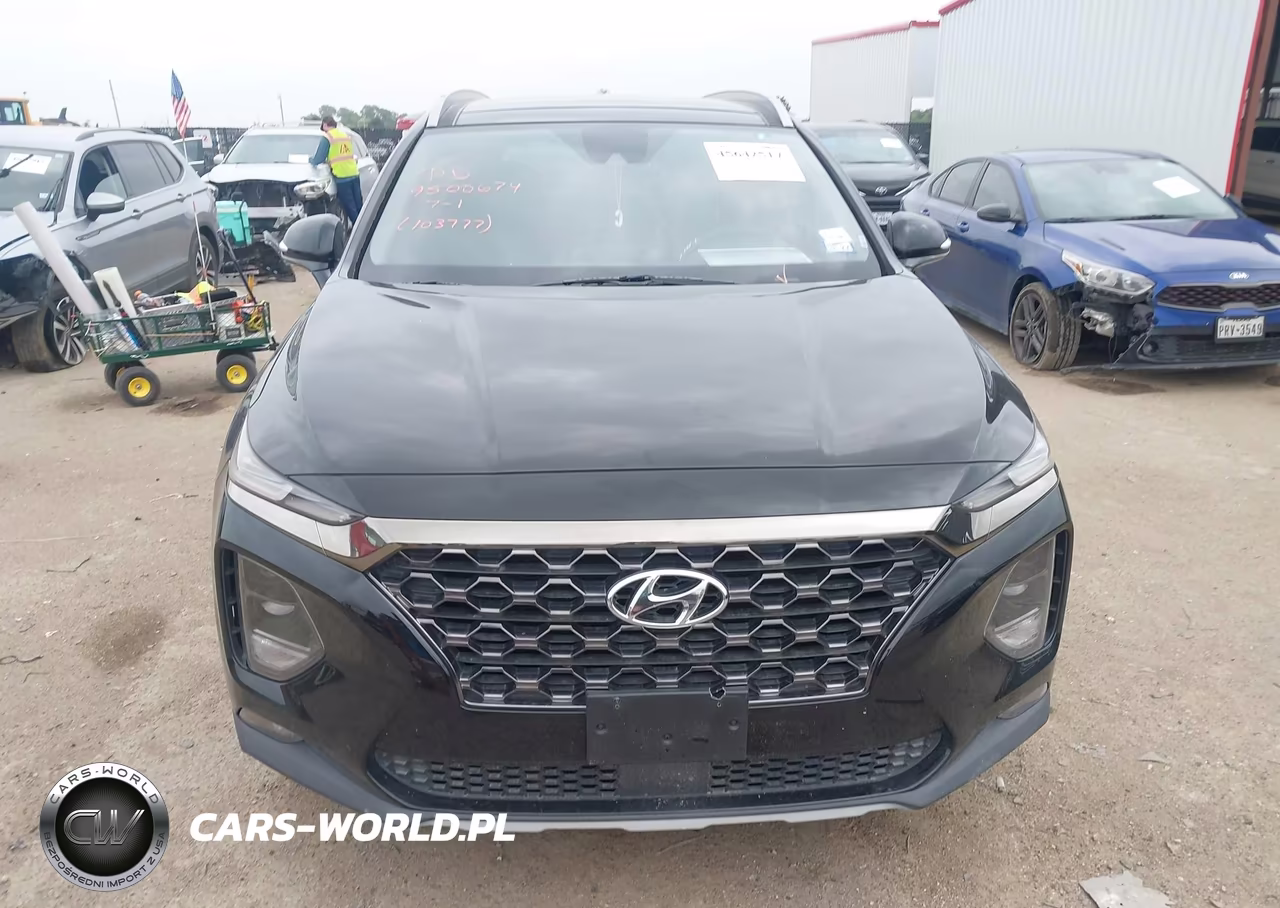 2019 Hyundai Santa Fe Limited VIN:5NMS53AD6KH103777 - 12