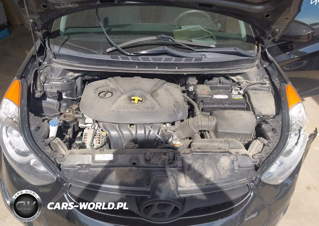 2013 Hyundai Elantra Gls VIN:5NPDH4AE8DH231300 - 10