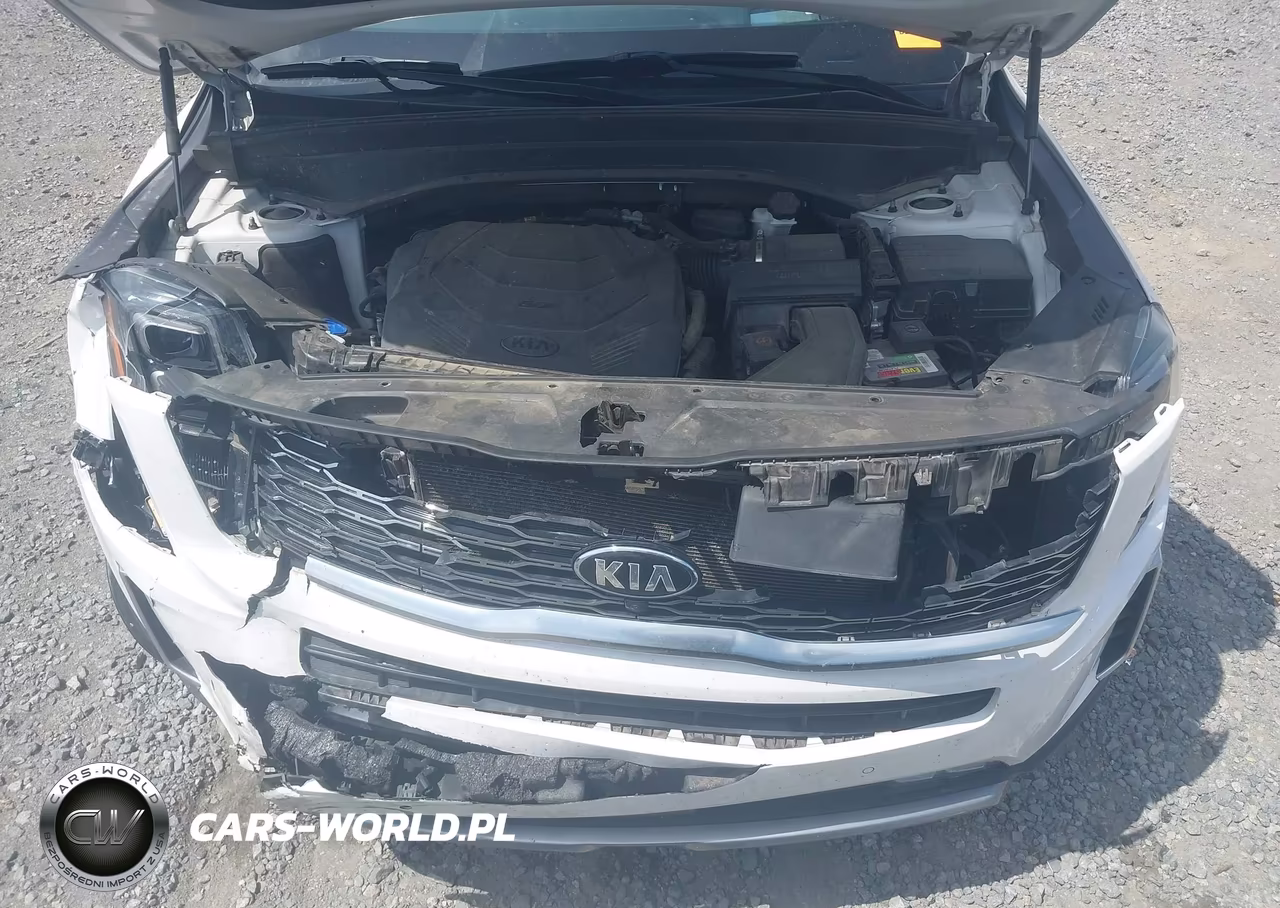 2021 Kia Telluride Sx VIN:5XYP5DHC5MG165077 - 10
