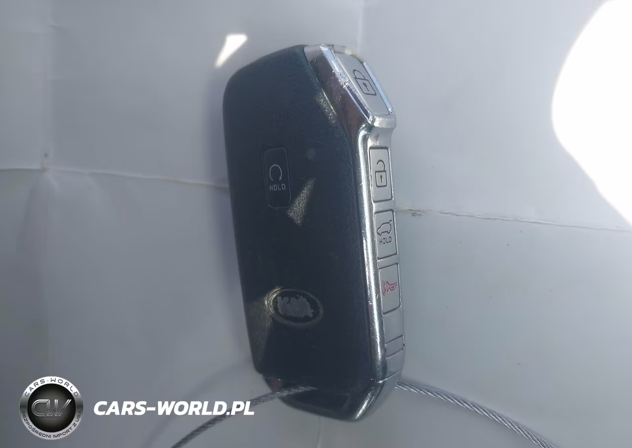 2021 Kia Telluride Sx VIN:5XYP5DHC5MG165077 - 11