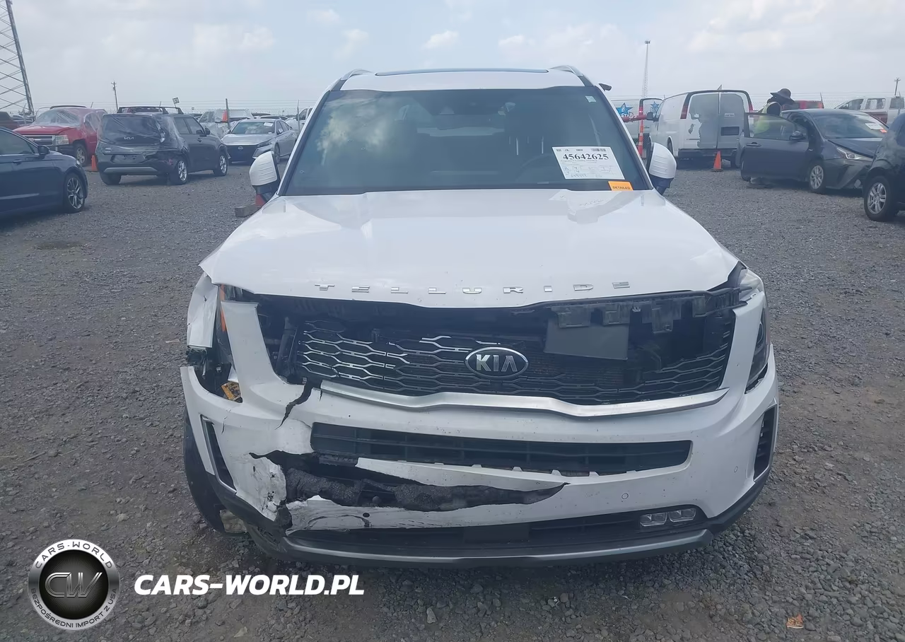 2021 Kia Telluride Sx VIN:5XYP5DHC5MG165077 - 12