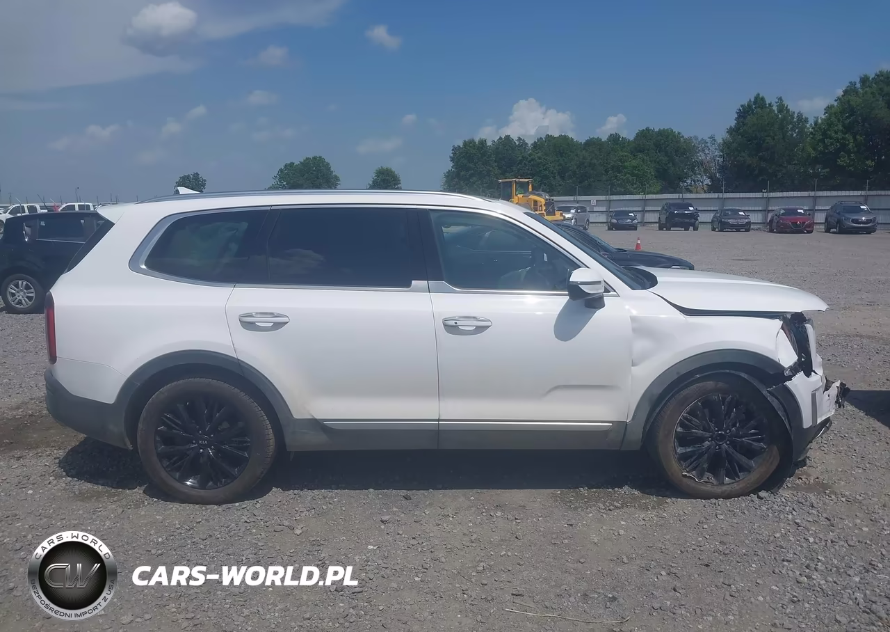2021 Kia Telluride Sx VIN:5XYP5DHC5MG165077 - 13