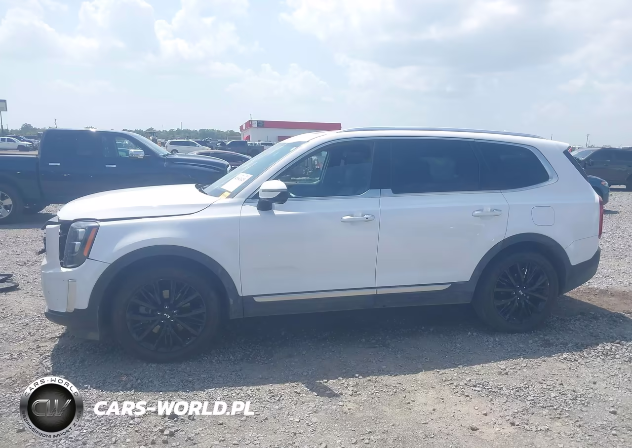 2021 Kia Telluride Sx VIN:5XYP5DHC5MG165077 - 14