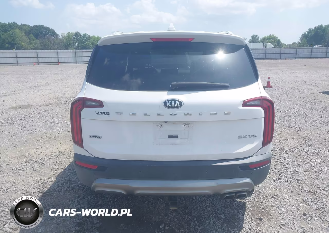 2021 Kia Telluride Sx VIN:5XYP5DHC5MG165077 - 16