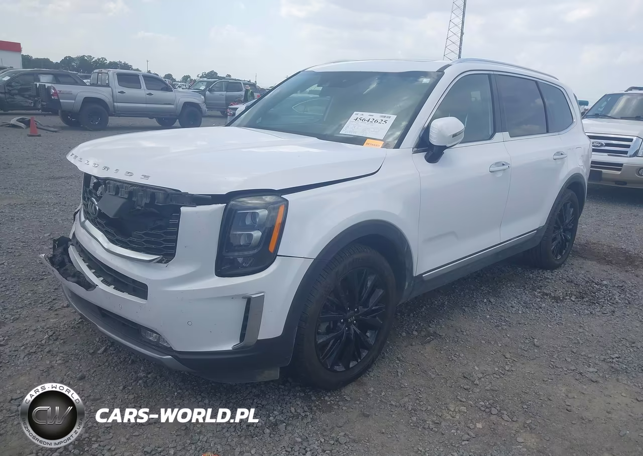 2021 Kia Telluride Sx VIN:5XYP5DHC5MG165077 - 2