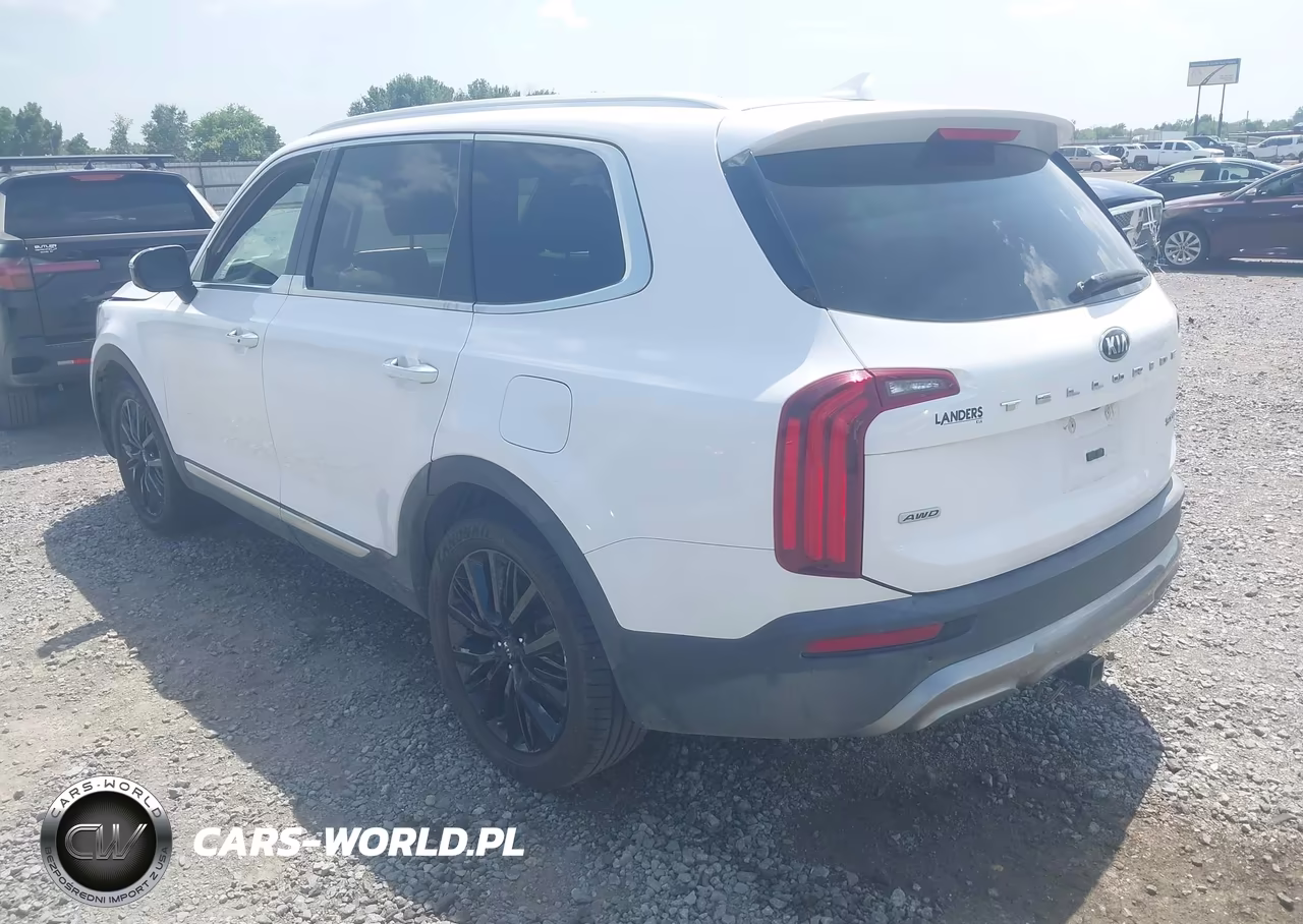 2021 Kia Telluride Sx VIN:5XYP5DHC5MG165077 - 3