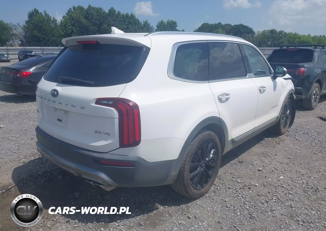 2021 Kia Telluride Sx VIN:5XYP5DHC5MG165077 - 4