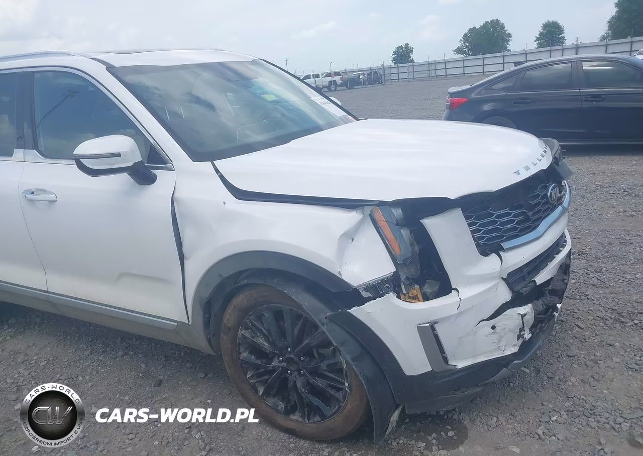 2021 Kia Telluride Sx VIN:5XYP5DHC5MG165077 - 6