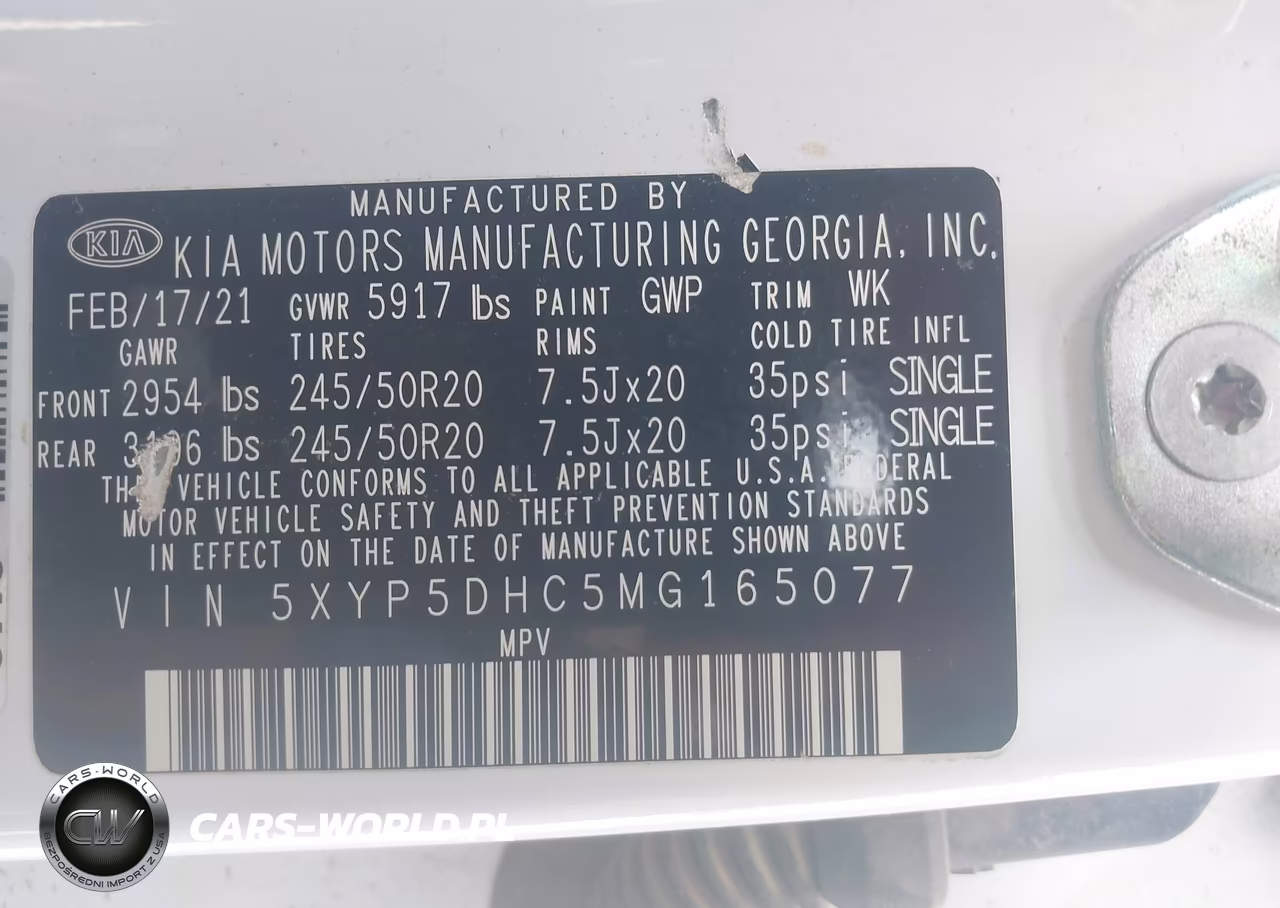 2021 Kia Telluride Sx VIN:5XYP5DHC5MG165077 - 9