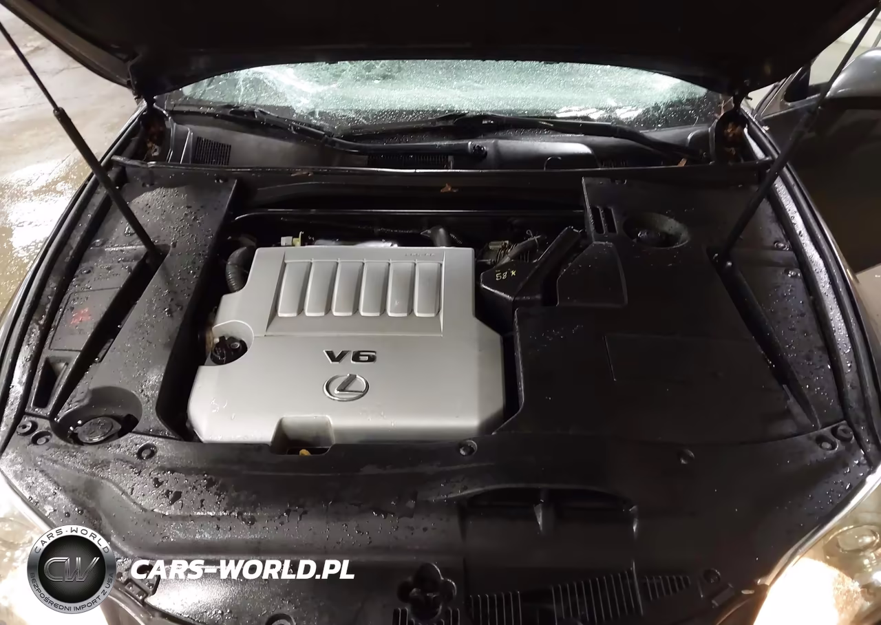 2009 Lexus Es 350 VIN:JTHBJ46G492316034 - 10
