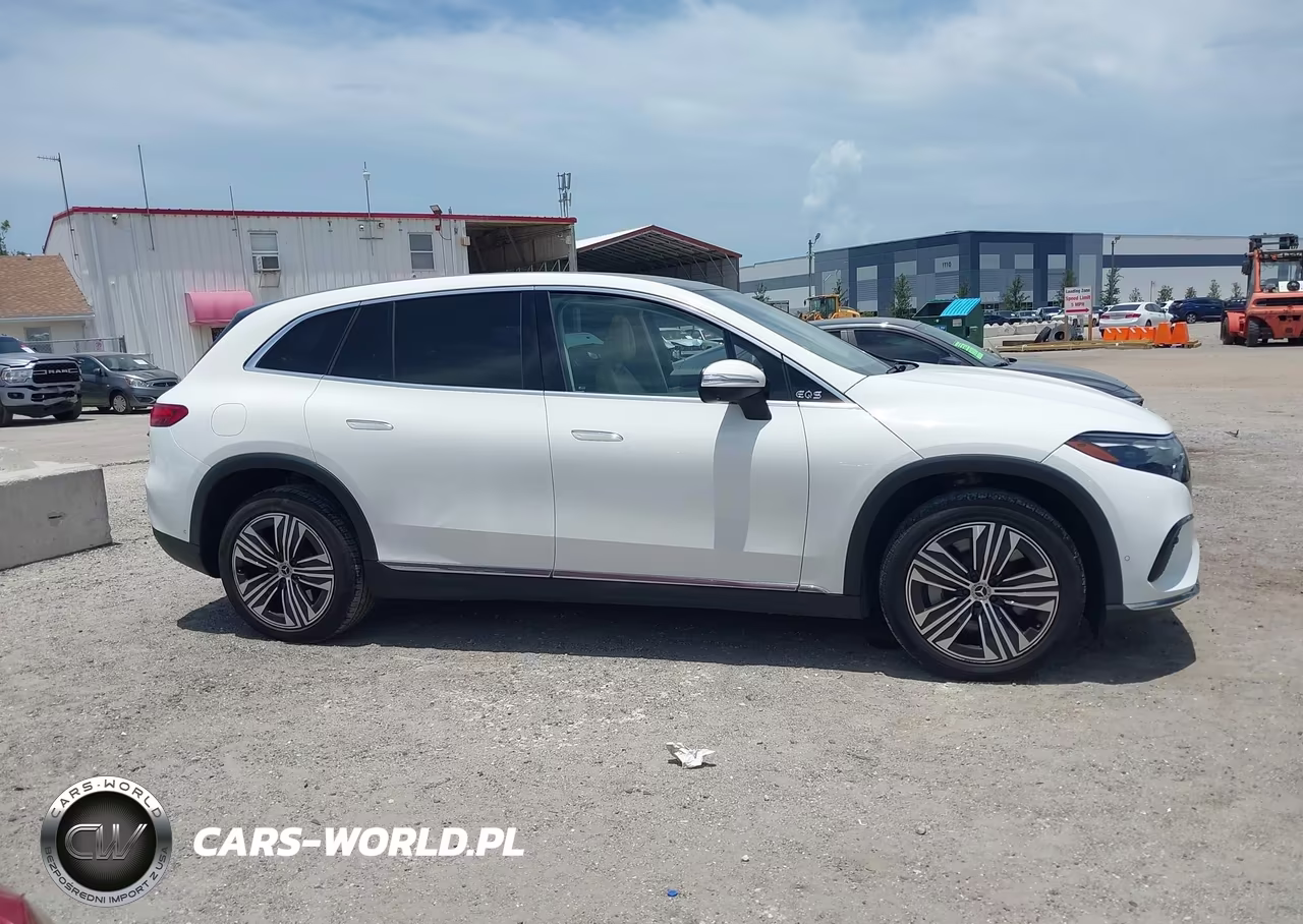 2023 Mercedes-Benz Eqs 450+ Suv VIN:4JGDM2DBXPA000892 - 13