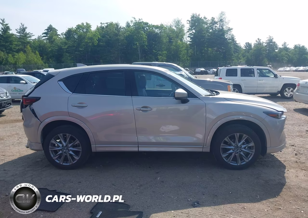 2025 Mazda Cx-5 2.5 S Premium Plus VIN:JM3KFBEM8S0627439 - 14