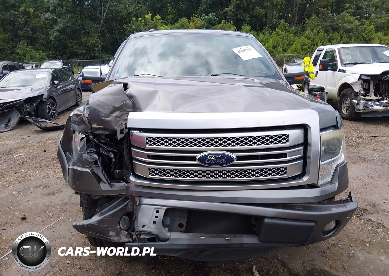 2014 Ford F-150 Platinum VIN:1FTFW1CF4EFB87360 - 13