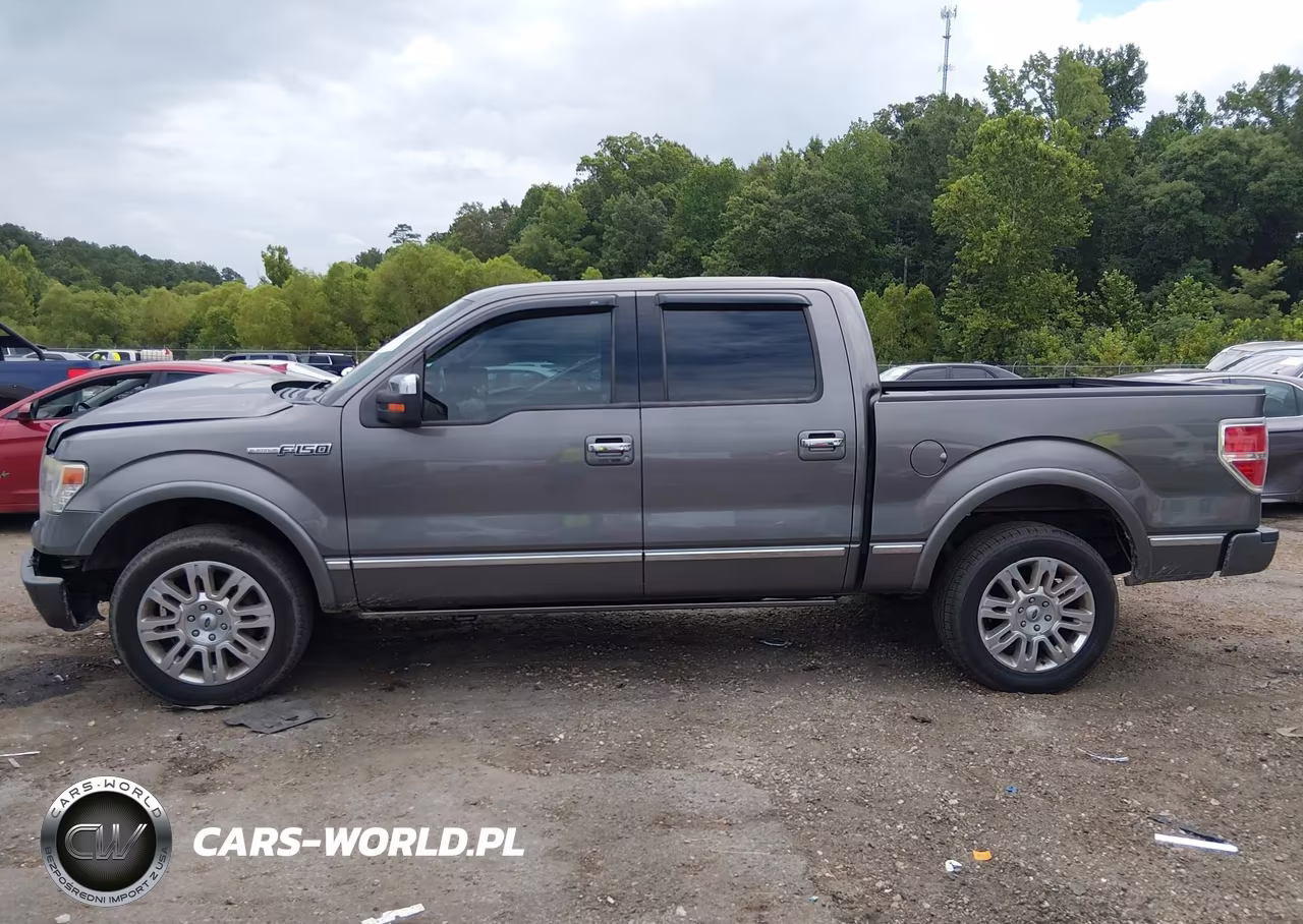 2014 Ford F-150 Platinum VIN:1FTFW1CF4EFB87360 - 15