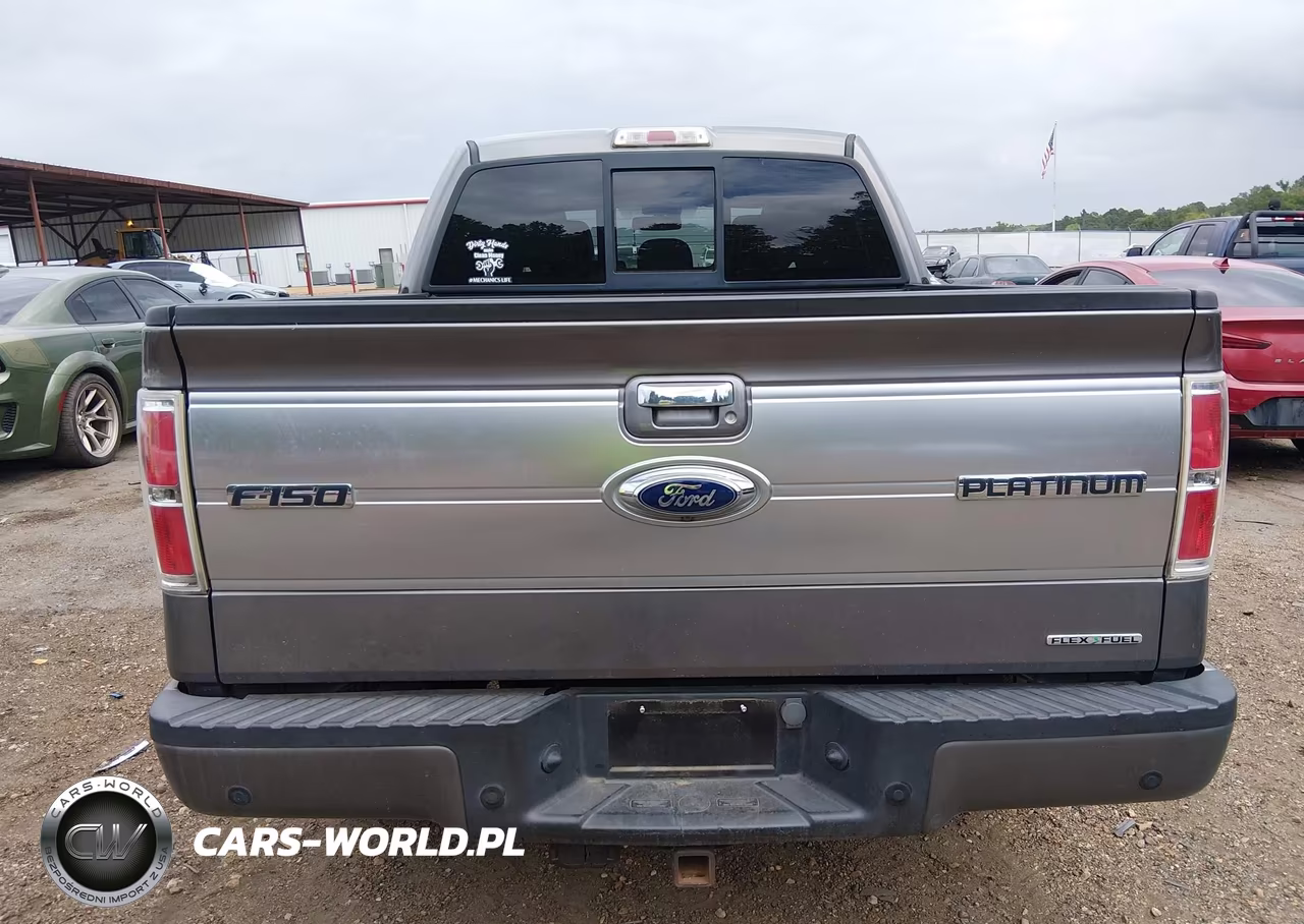 2014 Ford F-150 Platinum VIN:1FTFW1CF4EFB87360 - 17