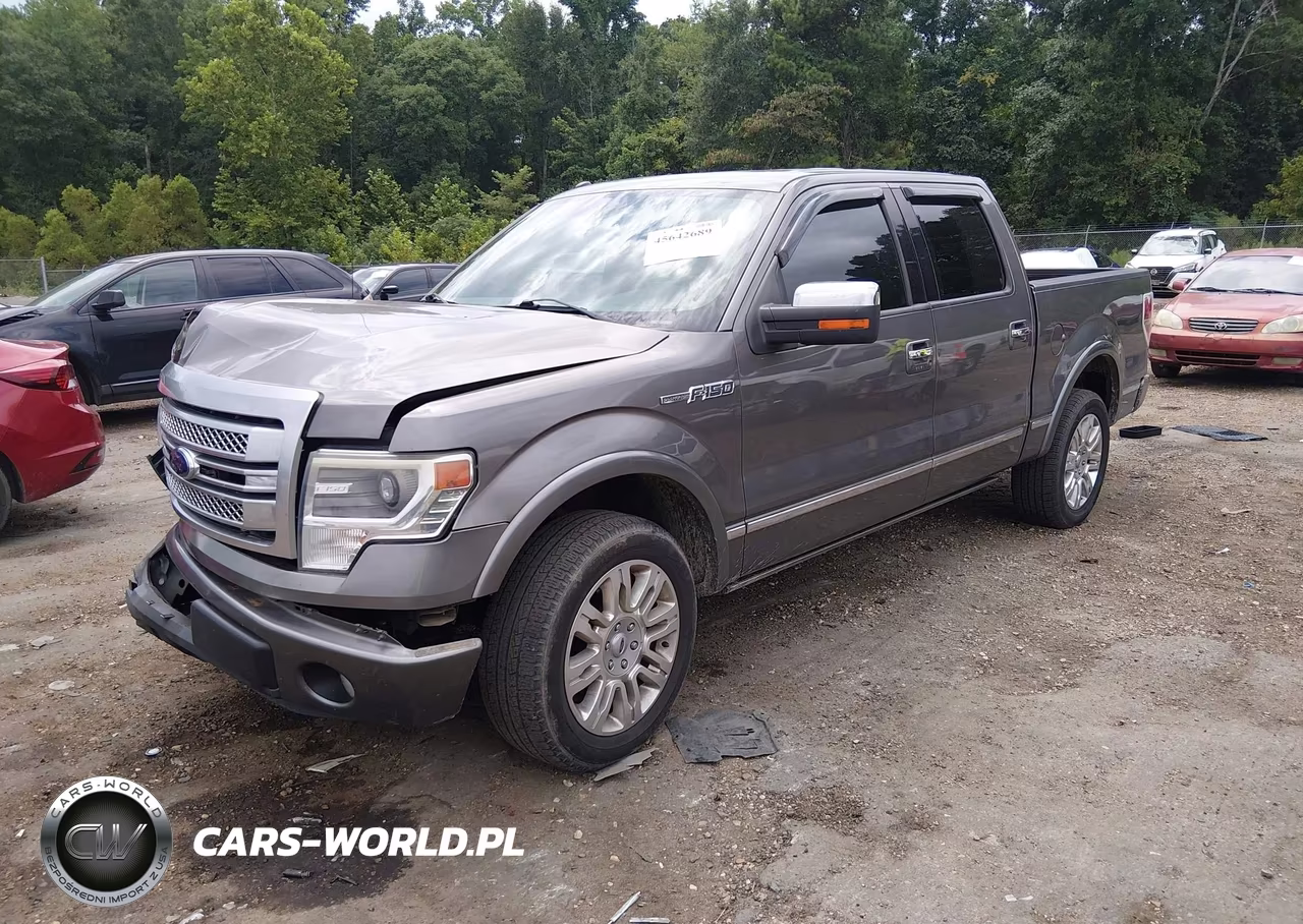 2014 Ford F-150 Platinum VIN:1FTFW1CF4EFB87360 - 2