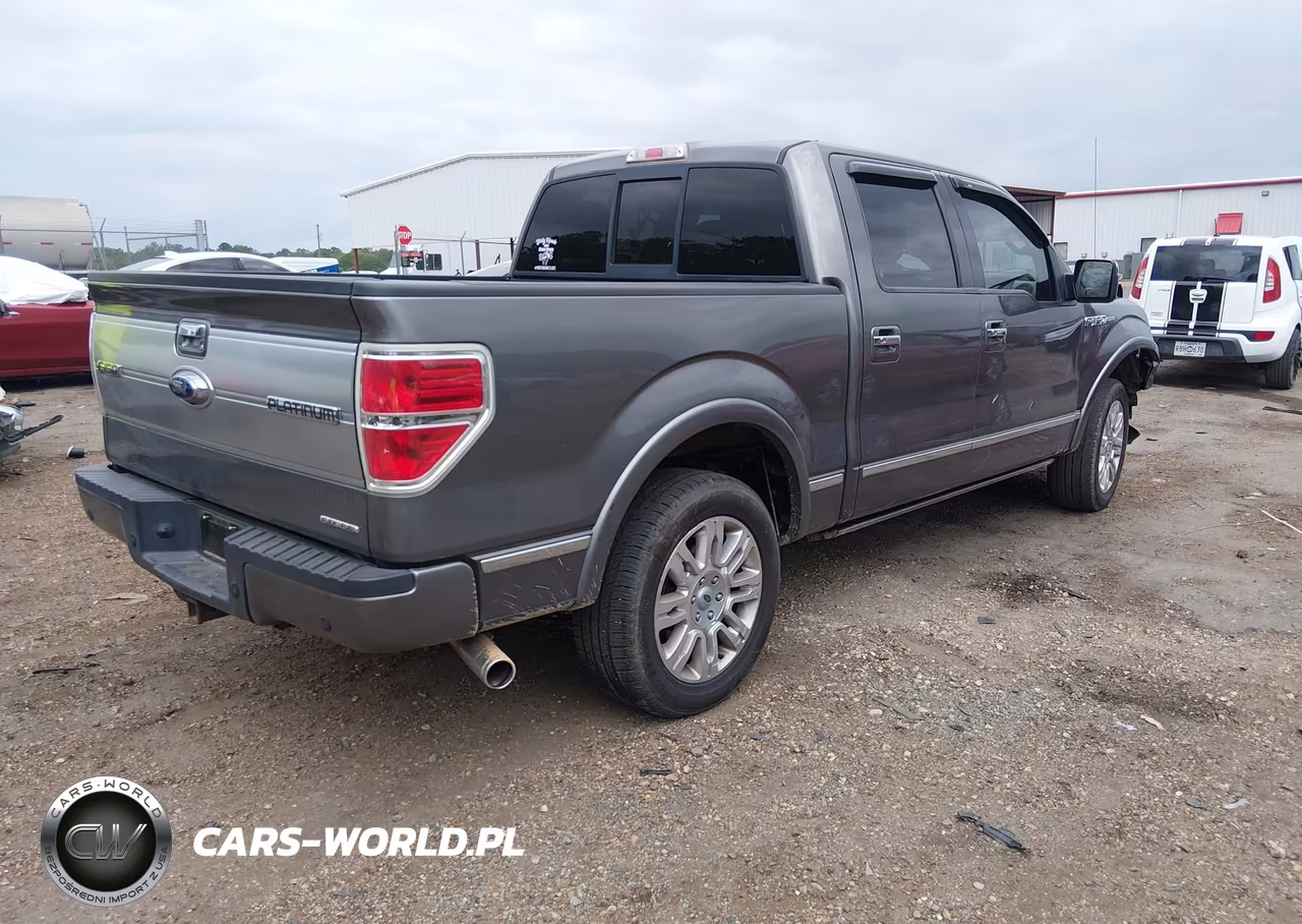 2014 Ford F-150 Platinum VIN:1FTFW1CF4EFB87360 - 4