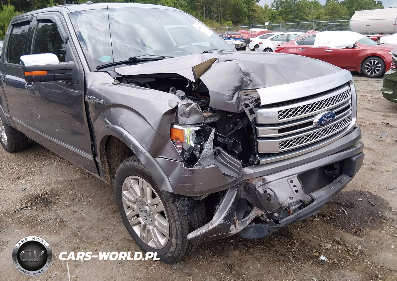 2014 Ford F-150 Platinum VIN:1FTFW1CF4EFB87360 - 6