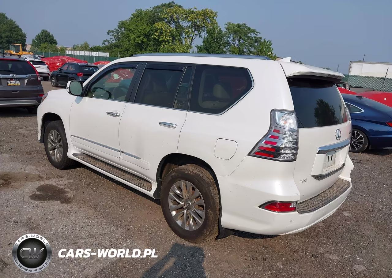 2017 Lexus Gx 460 Luxury VIN:JTJJM7FX8H5166686 - 3