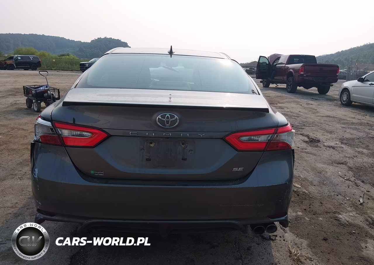 2019 Toyota Camry Se VIN:4T1B11HK6KU183011 - 17
