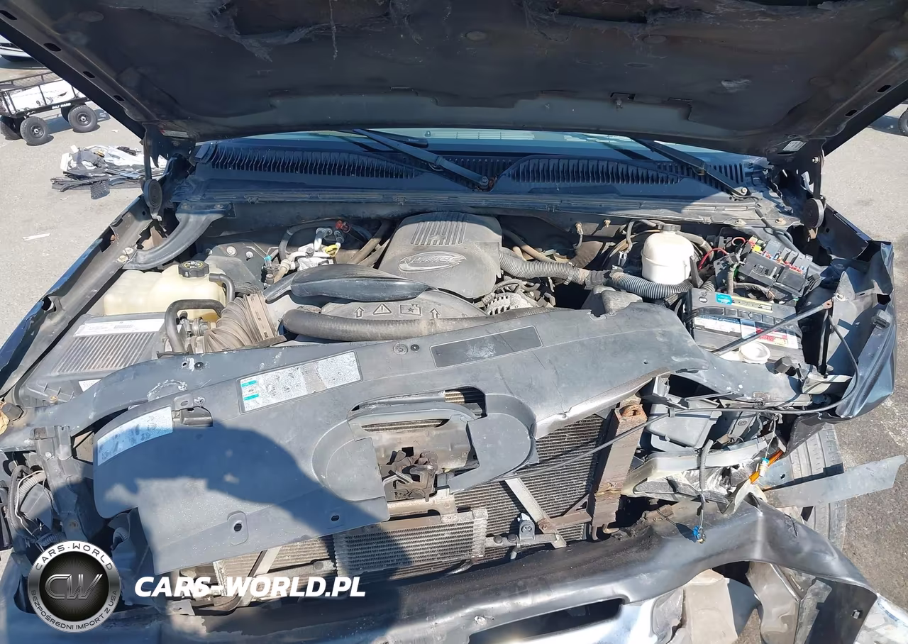 2003 Chevrolet Silverado 1500 Ls VIN:1GCEC19T33E174233 - 10