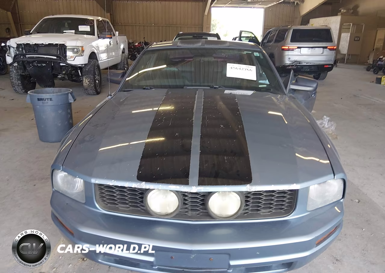 2005 Ford Mustang V6 Deluxe-V6 Premium VIN:1ZVFT80N055108816 - 12