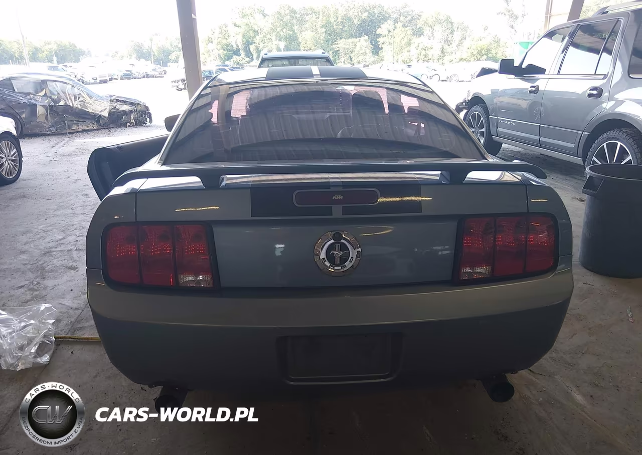 2005 Ford Mustang V6 Deluxe-V6 Premium VIN:1ZVFT80N055108816 - 16
