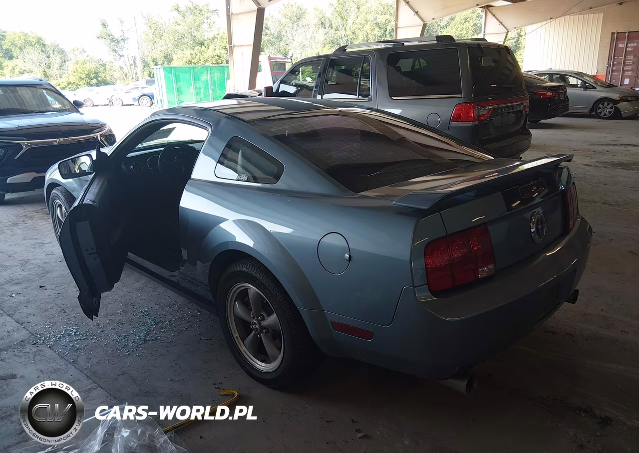 2005 Ford Mustang V6 Deluxe-V6 Premium VIN:1ZVFT80N055108816 - 3
