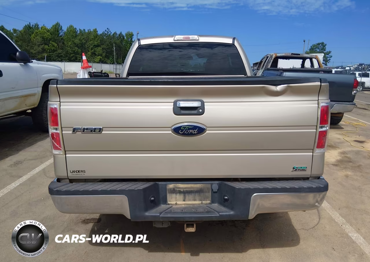 2010 Ford F-150 Fx2 Sport-Lariat-Xl-Xlt VIN:1FTFX1CV7AFB96097 - 18