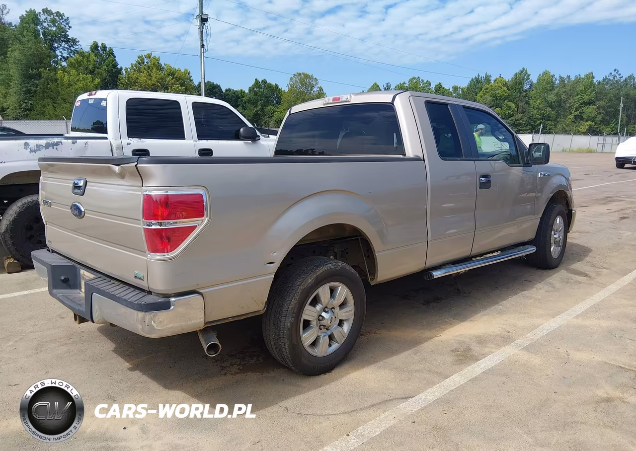 2010 Ford F-150 Fx2 Sport-Lariat-Xl-Xlt VIN:1FTFX1CV7AFB96097 - 4