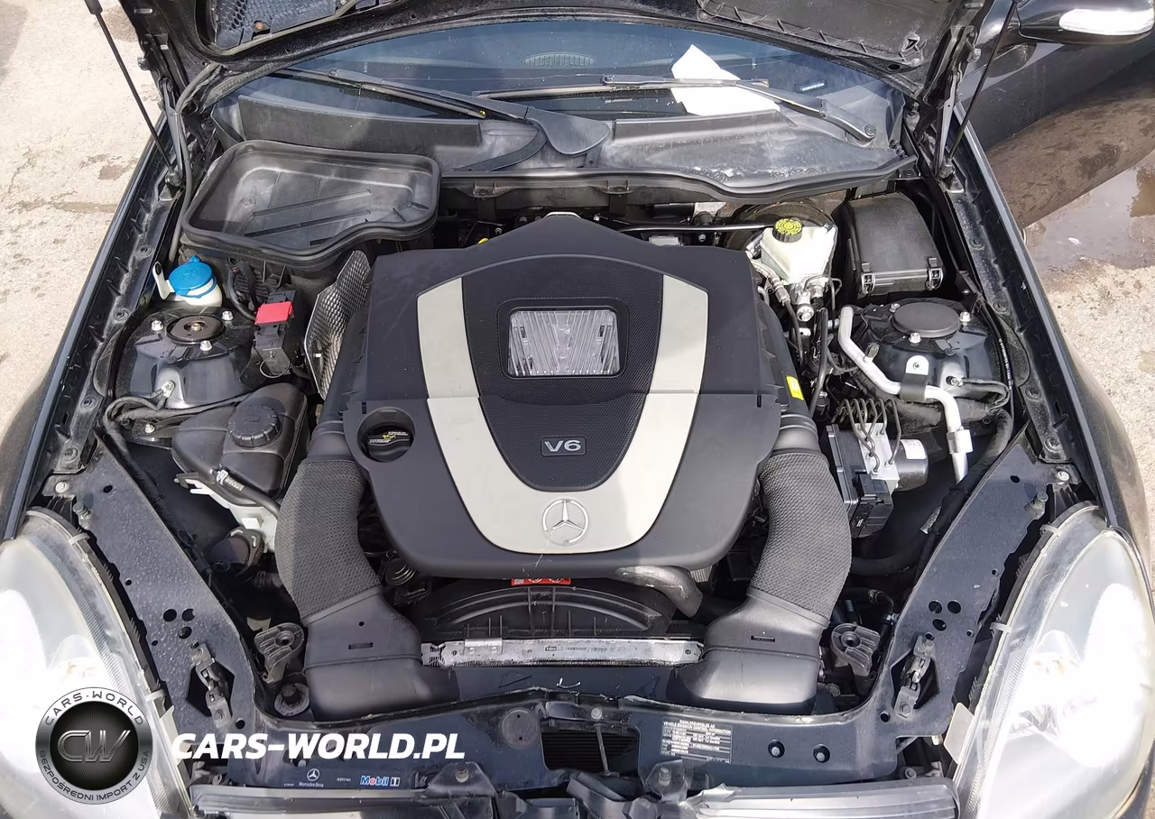 2008 Mercedes-Benz Slk 350 VIN:WDBWK56F68F187006 - 10